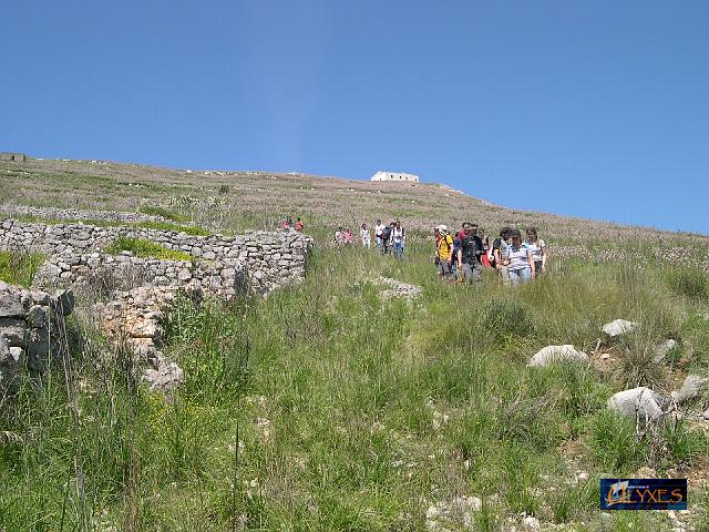 giu pel sentier.JPG